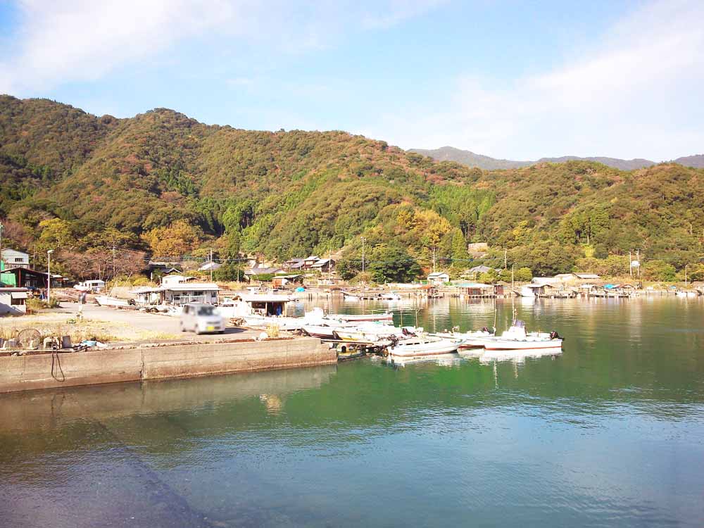 丸市尾佐伯なら穴場釣り